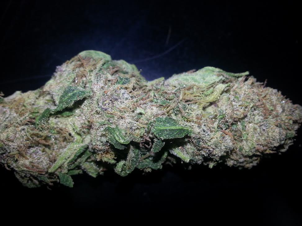 Plush Berry Seeds - How to Grow a Delicious Marijuana Strain